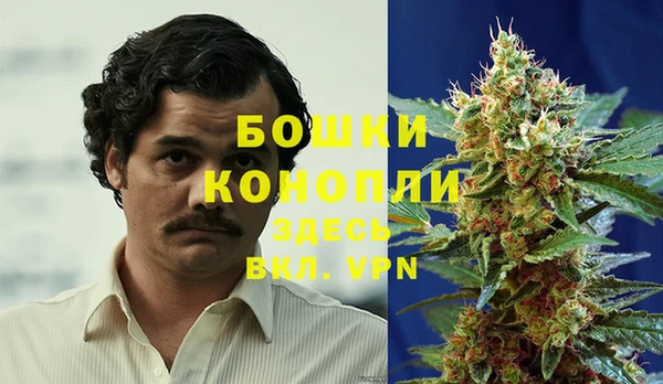 СК Алзамай