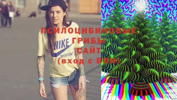 СК Алзамай