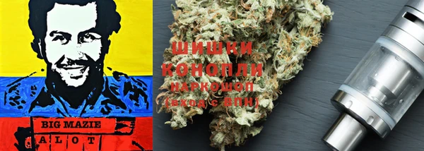 прущие грибы Алексеевка